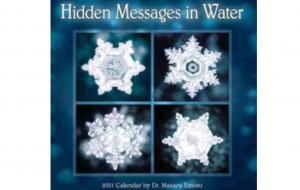 hiden-message-in-water-copyright-dr-masuro-emoto