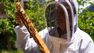 apiculteur-et-abeille-copyright-jean-baptiste-moulin